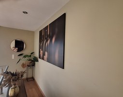 Foto auf Leinwand Weinflaschen-Sammlung in stilvoller Anordnung