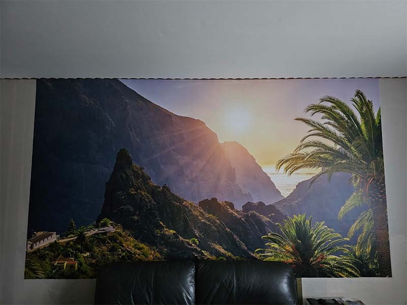 Wandbild mit Palmen und Gebirgsansicht